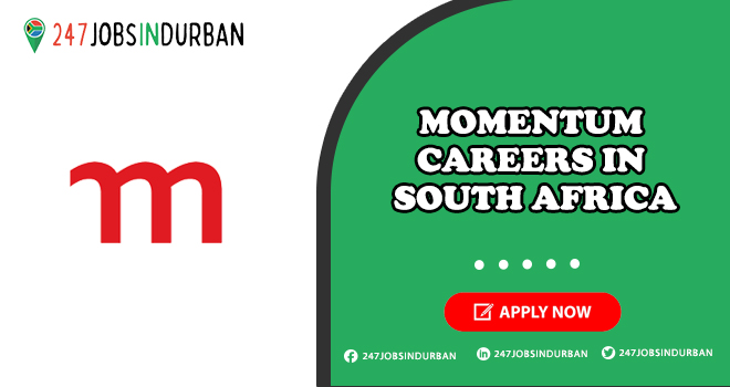 Momentum Careers for Freshers in Financial Services Company Momentum