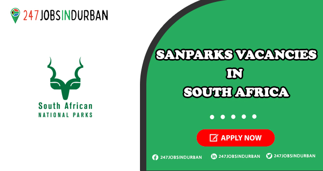 Sanparks Vacancies | Offering Permanent Positions in South Africa Sanparks Vacancies