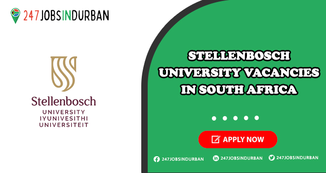 Stellenbosch University Vacancies for Students | Submit Online Job Application Stellenbosch University Vacancies