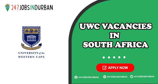 Uwc Vacancies | Latest Positions in University of the Western Cape for Students Uwc Vacancies
