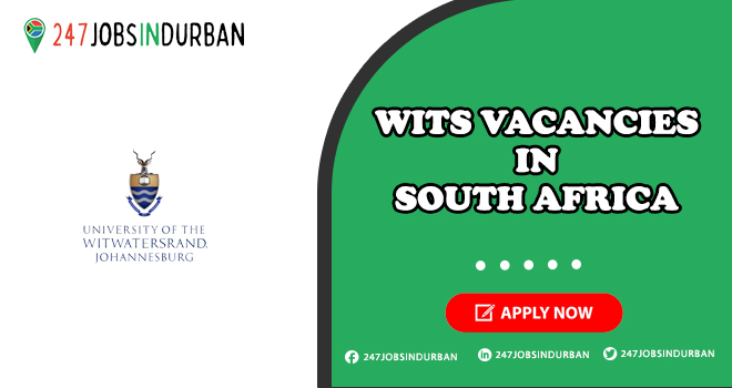 Wits Vacancies | Apply Now for Latest Positions Wits Vacancies