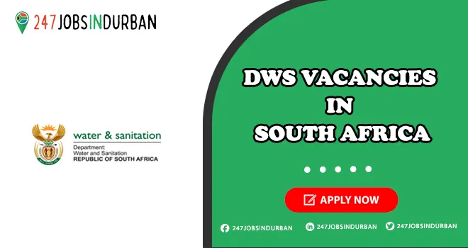 DWS Vacancies for Foreigners in South Africa | Apply Now DWS Vacancies