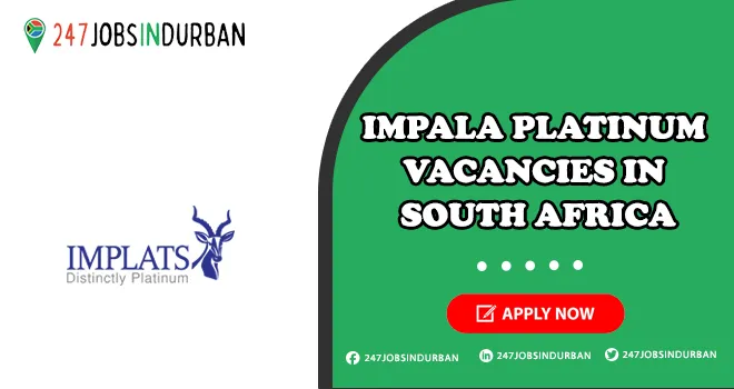 Impala Platinum Vacancies for Freshers in South Africa | Apply Now Impala Platinum Vacancies