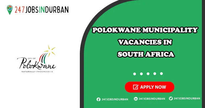 Polokwane Municipality Vacancies in GOVT | Submit Online Application Polokwane Municipality Vacancies